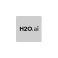 H2O.ai (2)